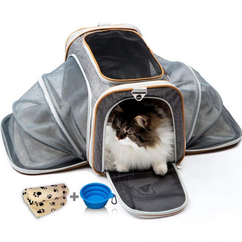 Top 10 Best AirlineApproved Pet Carriers in the market in 2019