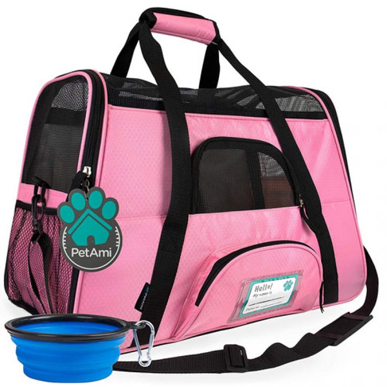 Top 10 Best AirlineApproved Pet Carriers in the market in 2019