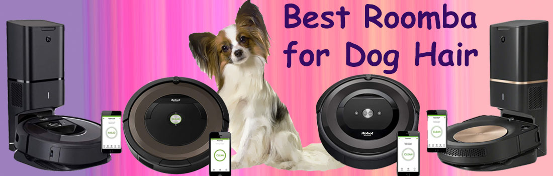 Best Roomba for Dog Hair