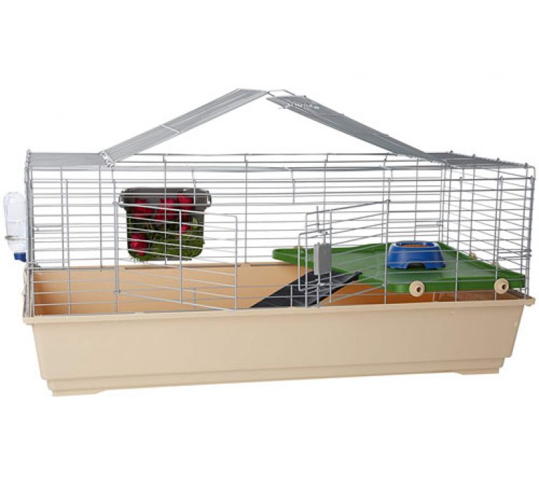 Top 8 Best Rat Cages In The Market For All Budgets