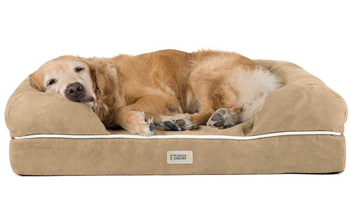 Friends Forever 100% Suede Orthopedic Dog Bed