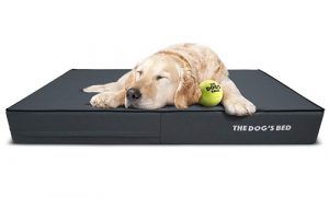 The Dog Balls The Dog’s Bed Original Orthopedic