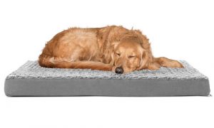 FurHaven™ Dog Bed Orthopedic Pillow Cushion