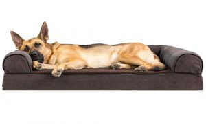 FurHaven™ Dog Ped Orthopedic Traditional Couch Bed