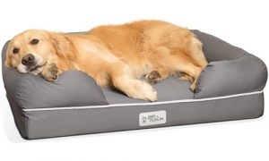 PetFusion The Ultimate Dog Bed & Lounge| Orthopedic Memory Foam Mattress