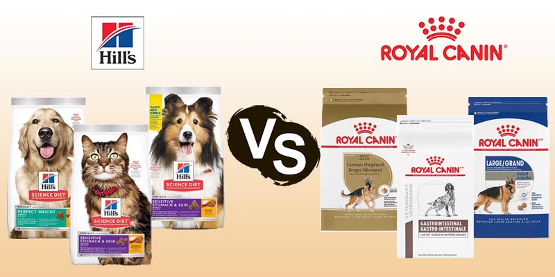 hills and royal canin